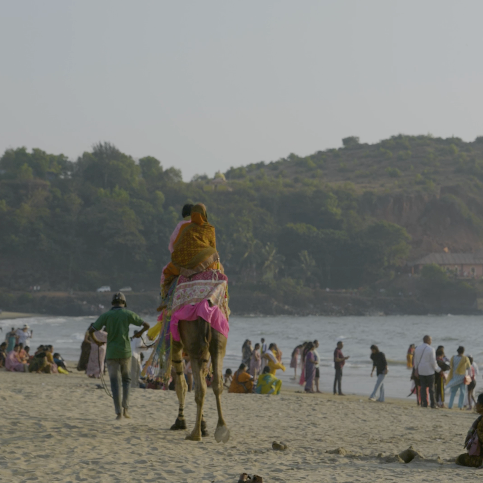 Nouvelles Vagues x Bloom